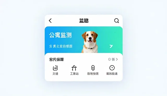 运维服务与软件研发服务的对比选择要点